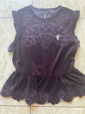 EXPRESS Velvet Embroidered Peplum Top - Deep Plum